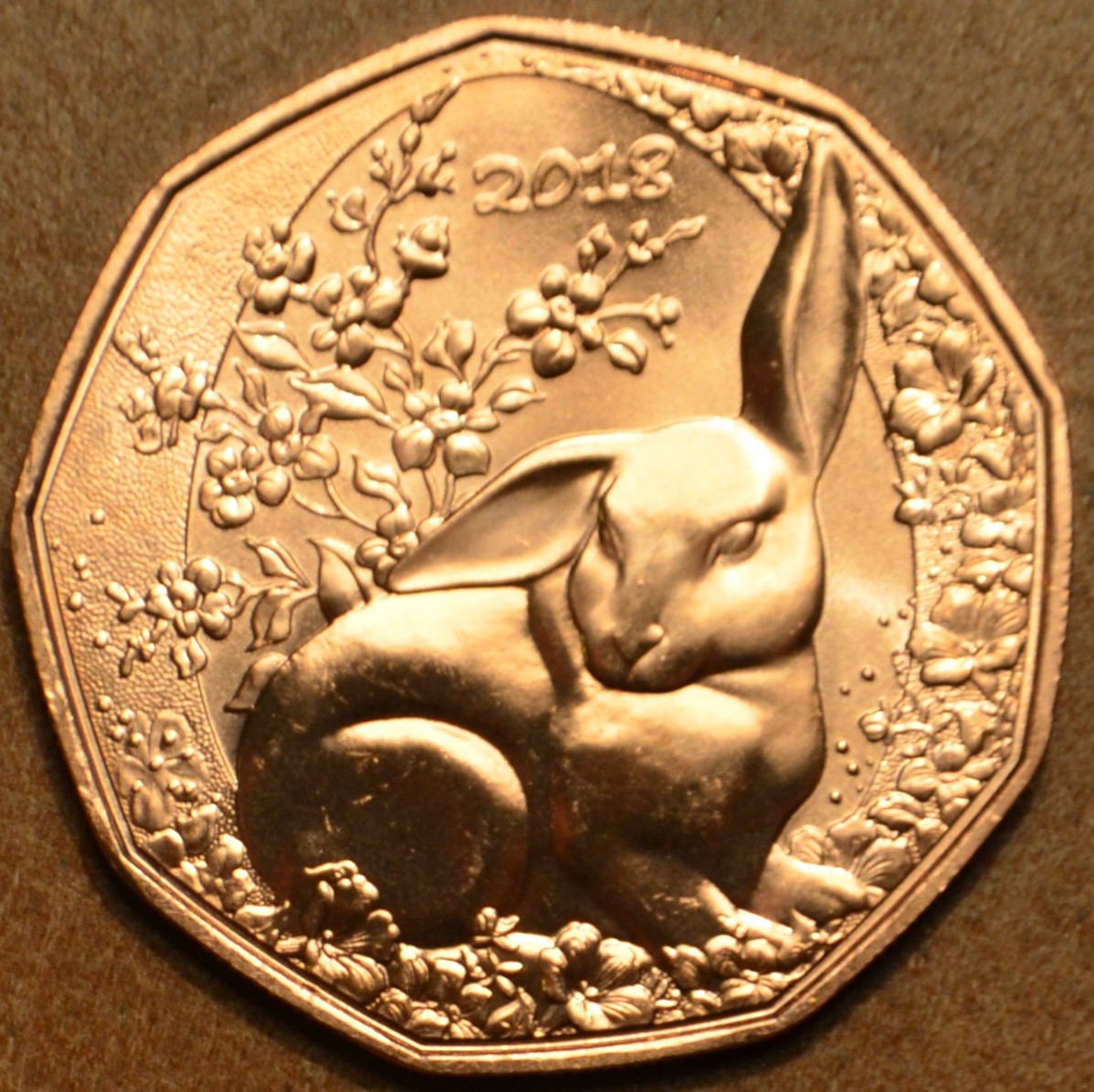 5 Euro Ausztria 2018 Mezei nyúl (UNC)