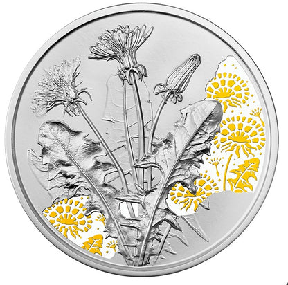 10 Euro Ausztria 2022 - A pitypang (Proof)