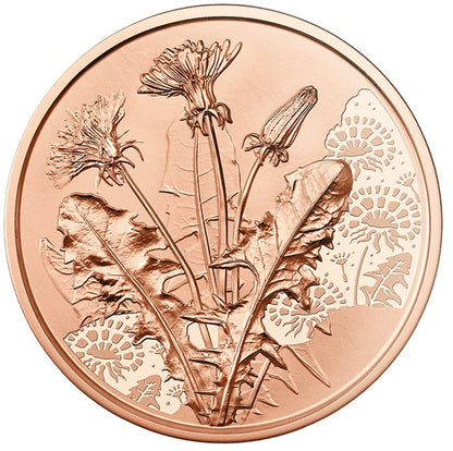 10 Euro Ausztria 2022 - A pitypang (UNC)