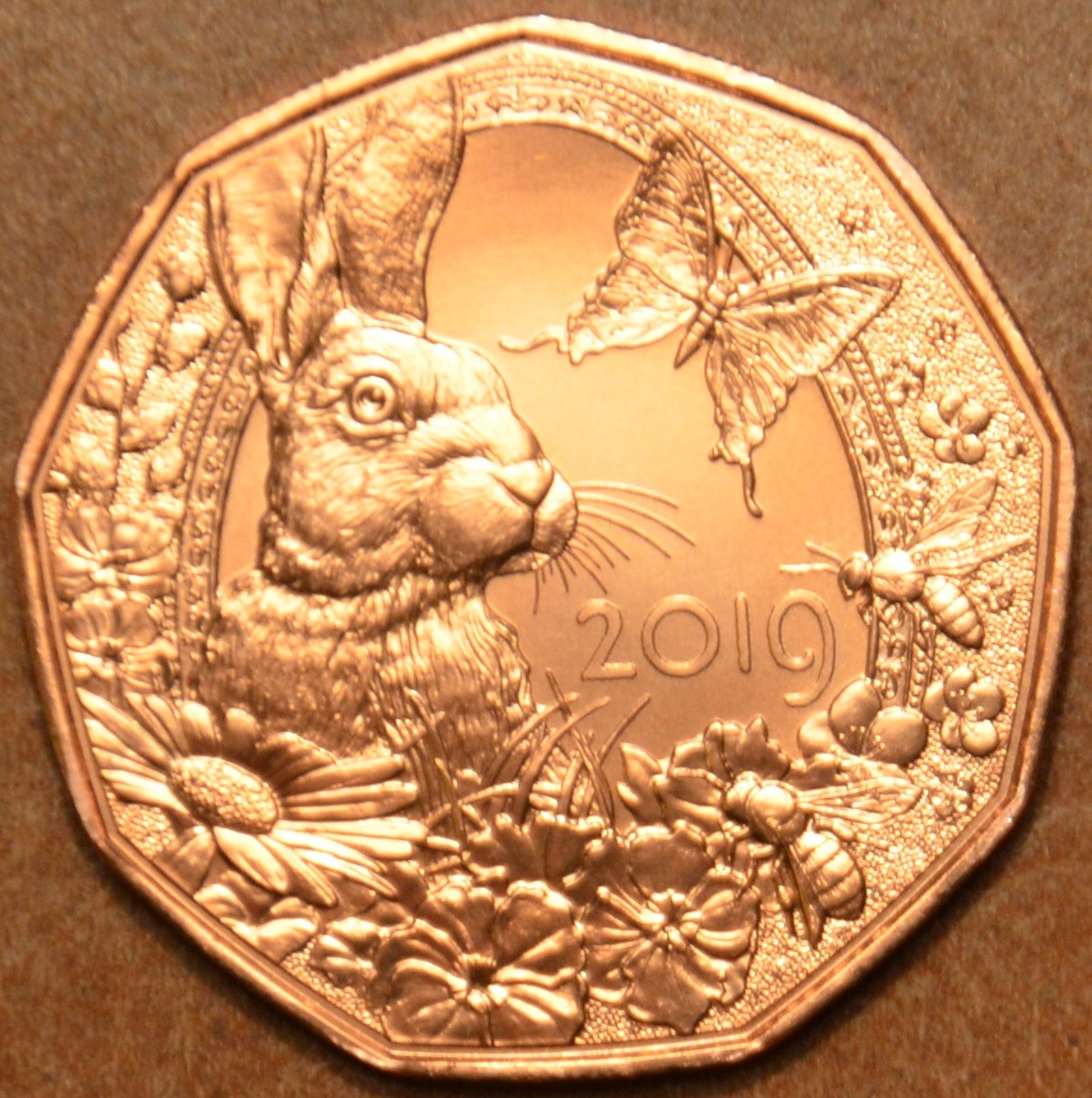 5 Euro Ausztria 2019 Az ébredő természet (UNC)