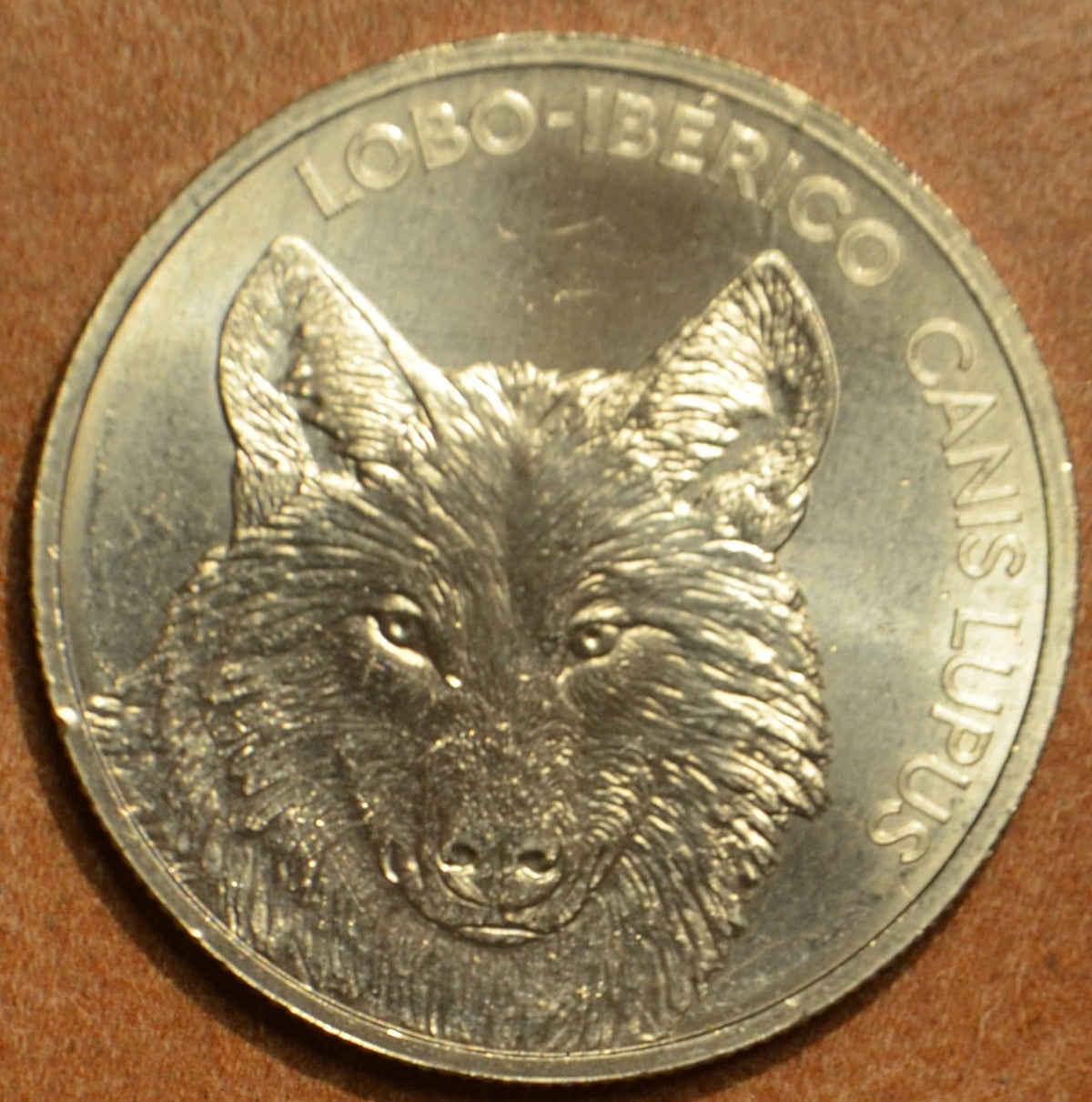 5 Euro Portugália 2019 - Az ibériai farkas (UNC)
